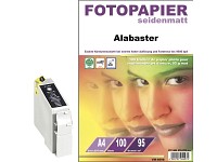 iColor Tintenpatrone für EPSON (schwarz) + Fotopapier GRATIS